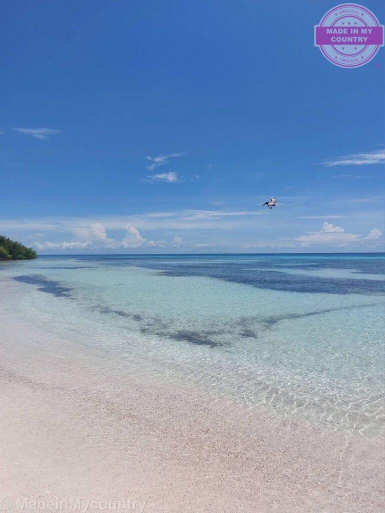 Belize Barrier Reef: a UNESCO world heritage site! MadeinMycountry is a global platform that celebrates and supports local history, culture, art, and nature conservation efforts. For two decades, we have been sponsoring local museums, cultural organizations, travel destinations, historical sites and various cultural events around the world.